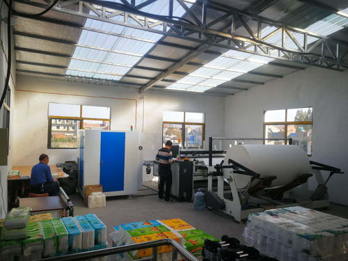 農村小型衛生紙加工廠投資規劃與企業服務指南