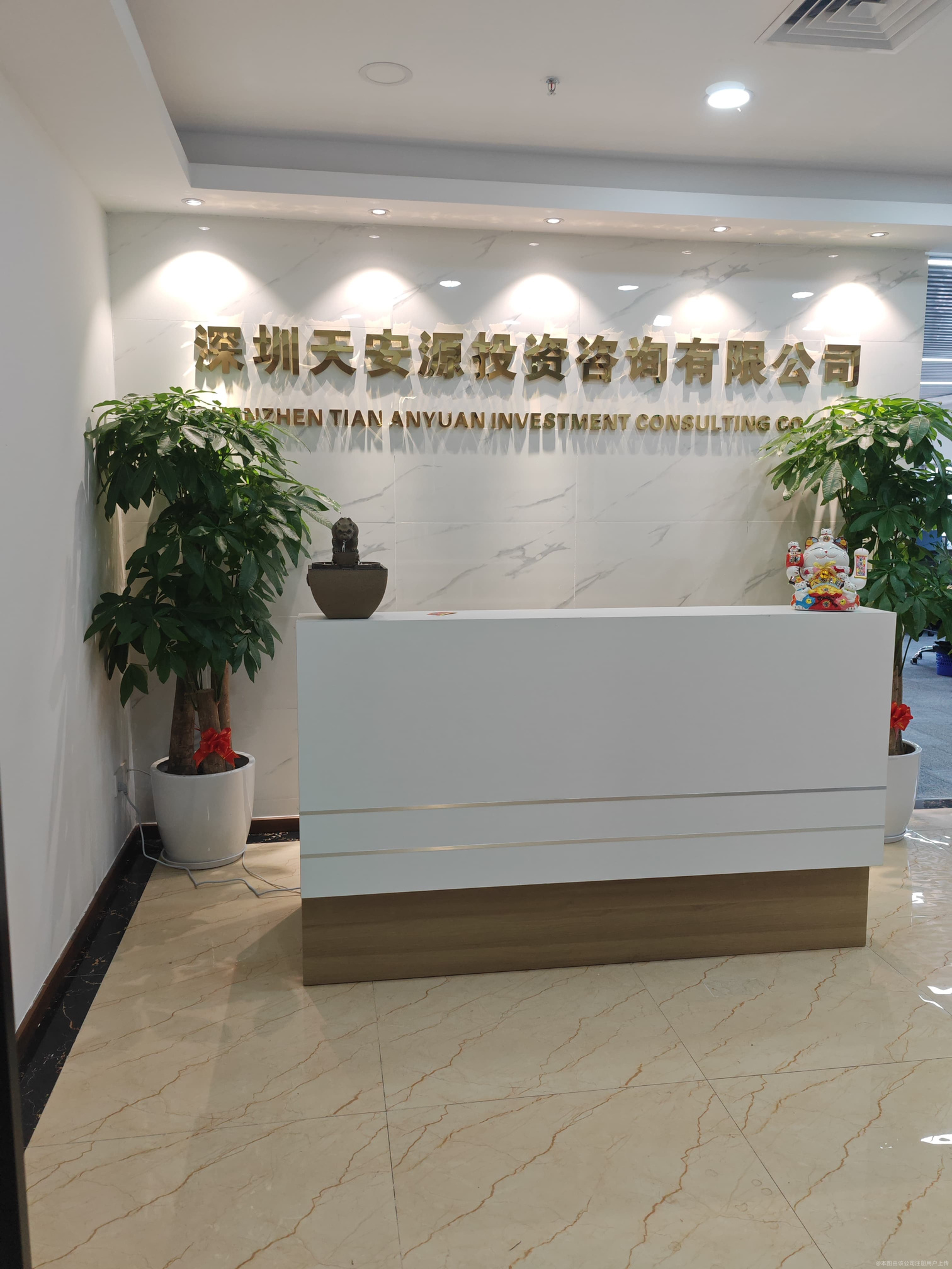深圳天安源投資咨詢 專業引領，賦能企業投資決策