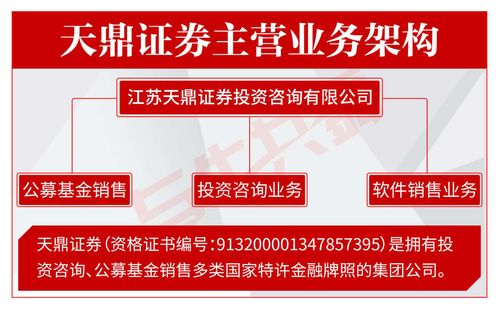探析天鼎證券的正確投資路徑與企業管理中的風險警示